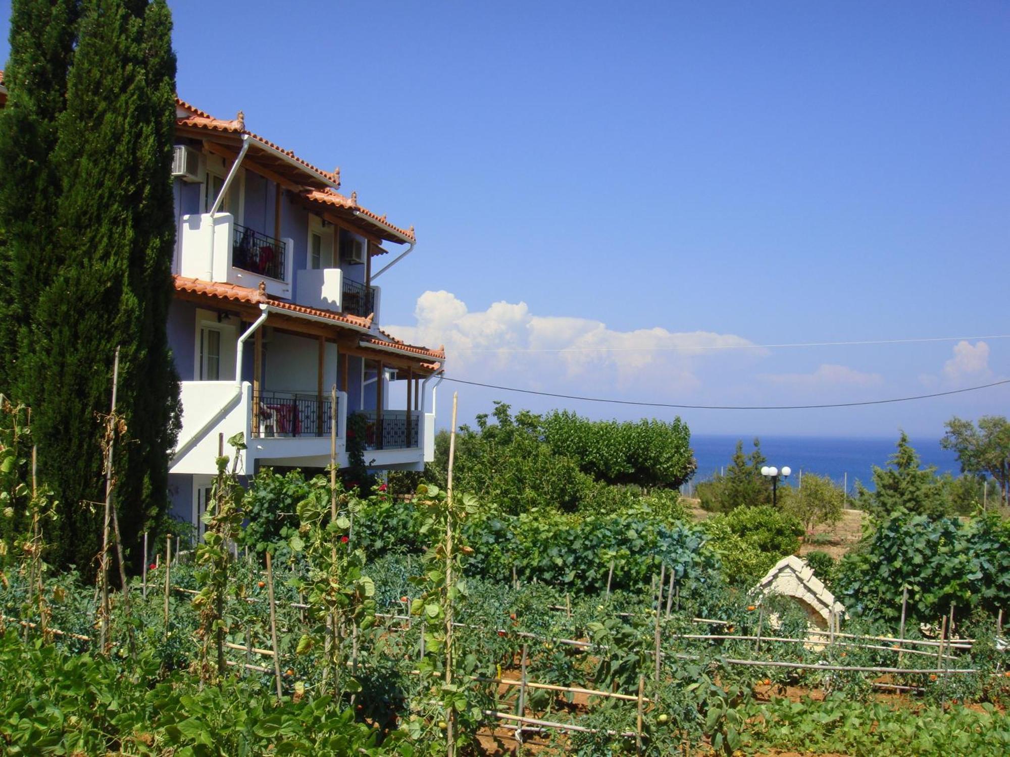 Eliza 招待所 Skala (Kefalonia)